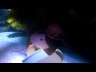 Video 1/1081 - "Octopus's Garden"